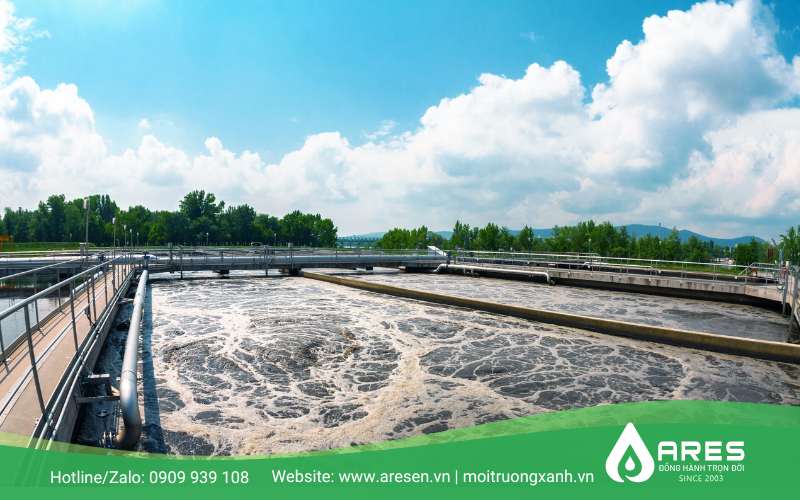 he_thong_xu_ly_nuoc_thai_fillet_ca_tra