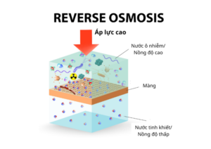Công nghệ màng lọc RO: Ưu điểm và ứng dụng trong xử lý nước cấp